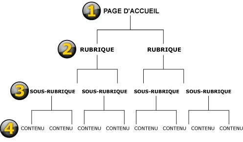 Architecture et gestion d'un site web