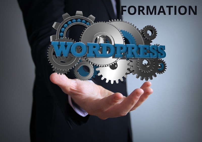 Formation au CMS WordPress pour créer votre solution digitale Sport Business