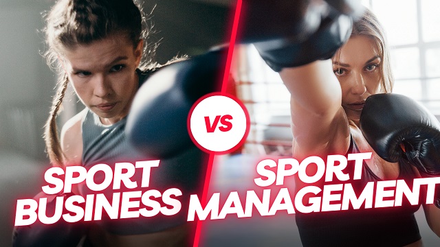 Illustration comparant le Sport Business et le Sport Management — deux approches complémentaires du monde du sport
